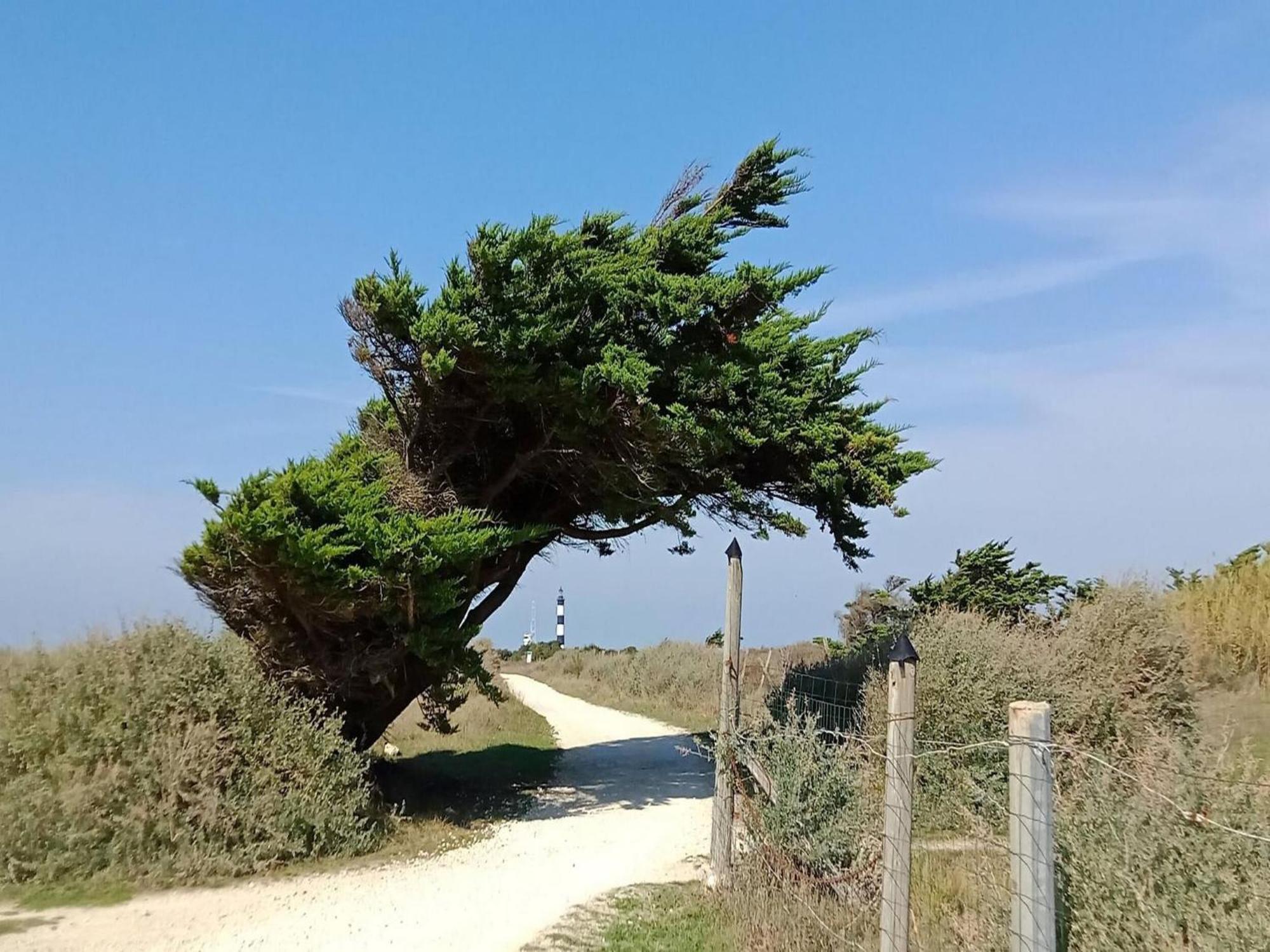 Les Hameaux Des Sables Vignie Saint Georges D Ol Ron Holiday Home Not Detached Экстерьер фото