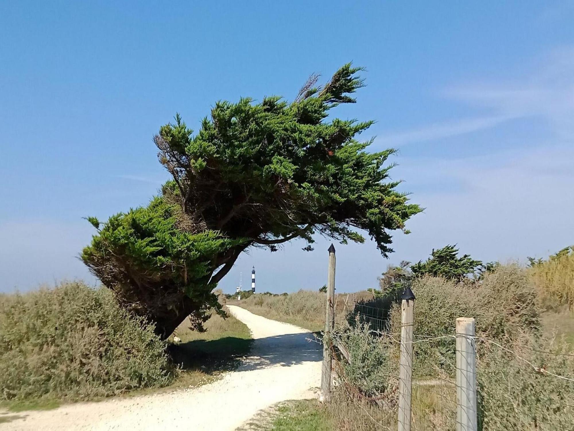 Les Hameaux Des Sables Vignie Saint Georges D Ol Ron Holiday Home Not Detached Экстерьер фото