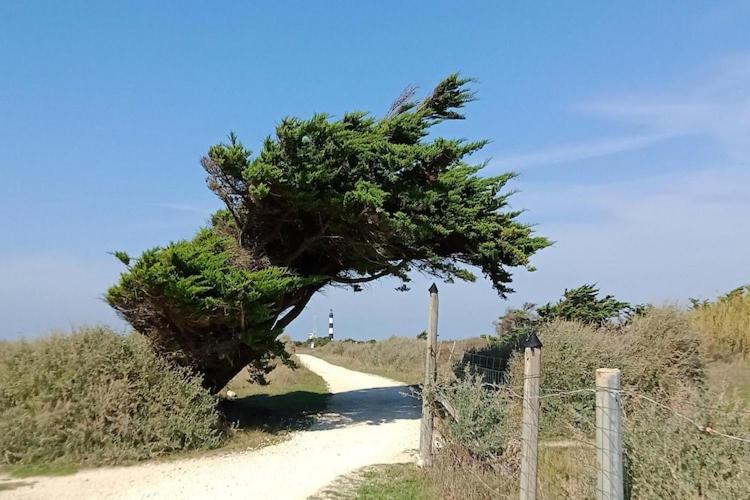Les Hameaux Des Sables Vignie Saint Georges D Ol Ron Holiday Home Not Detached Экстерьер фото